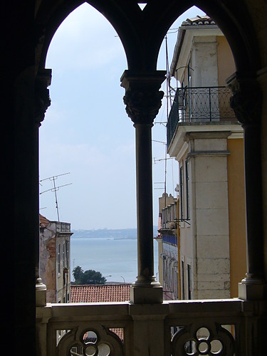 Czarna Dalia.
