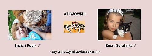 Wpis imciaandenia