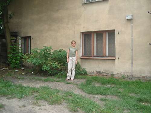 krzaczek