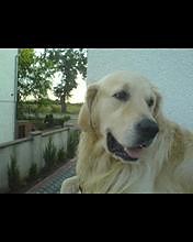 Ferdek.....