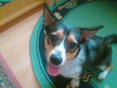 Sweety =D