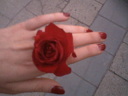 rose
