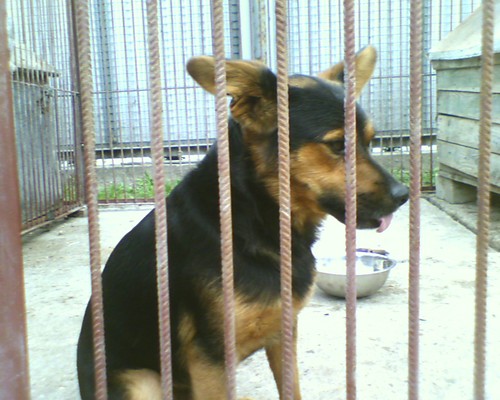 Maks ;)