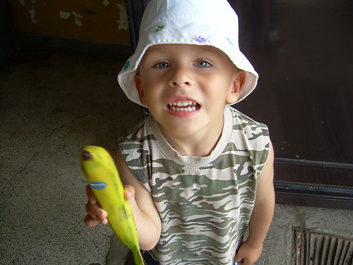 Wpis szpilcia0911