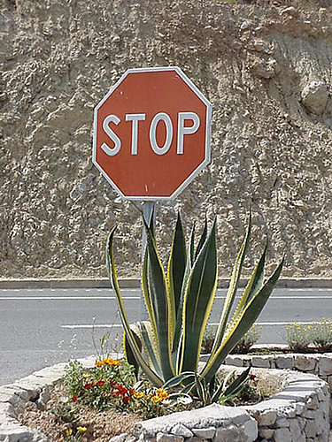 KONIECSTOP!!!!!!!!!!