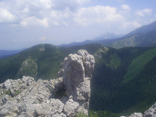 Wpis lisu92