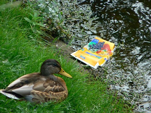 Karton z BIegronki:)