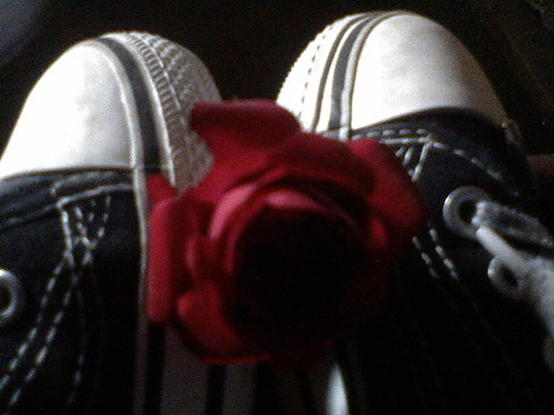 rose again ;]
