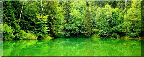 Jeioro