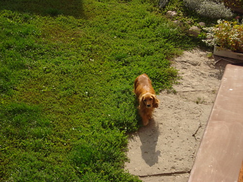 slicniutko:):)hihi