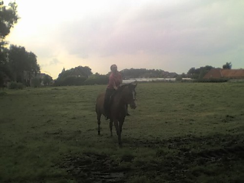 Galop :))