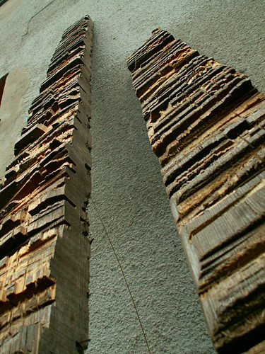 Plener Rzebiarski 2007