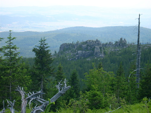 Widoczek :)