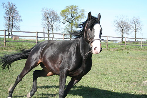 Koniec Wakacji