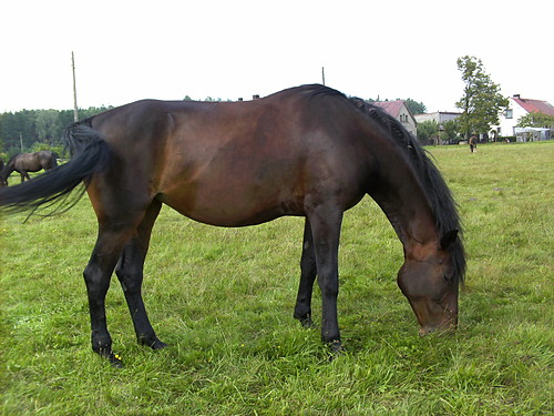 KONIEC!