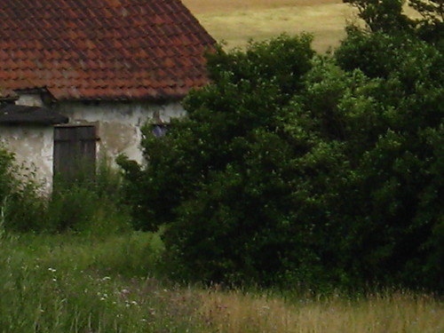 Wpis kathrinee