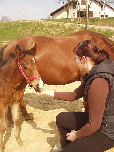 koniki^^