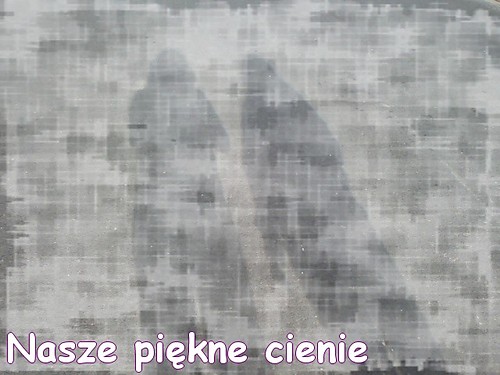 Cienie