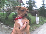 Lucy...