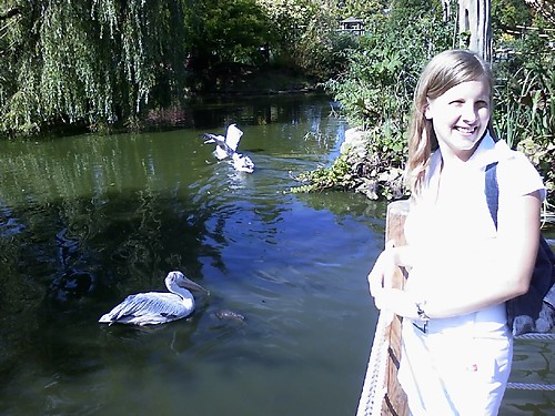 ZOO