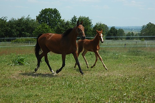  Jokasta and little Johnny B.