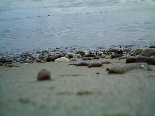 morze...