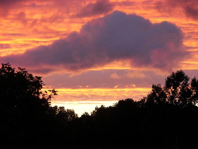 view from my window....