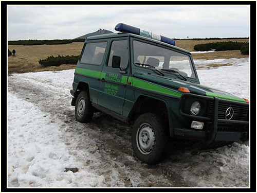 Wpis palko