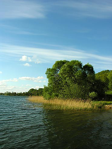 Wpis orinoko