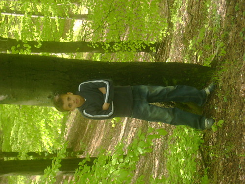Wpis dominik96