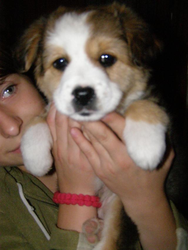 Maxio ;)