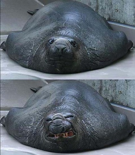 ;d