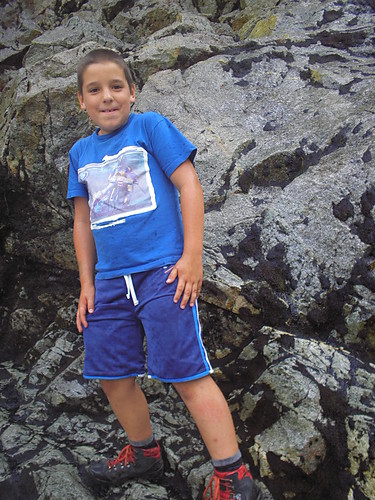 Wpis bartkis