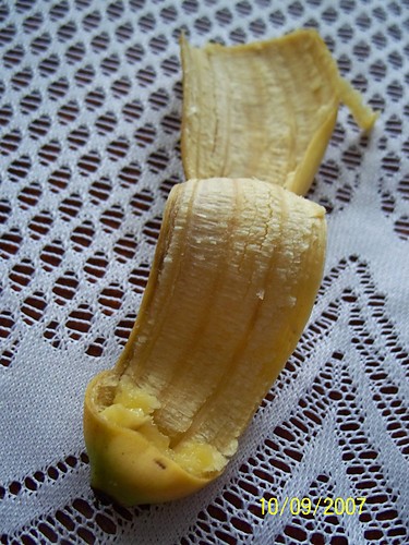 Wpis evvuszka