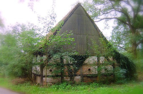 Domek 