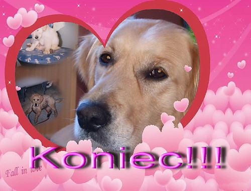 Koniec