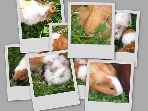 WINKI