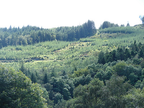 Irlandija