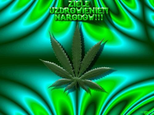 ganja