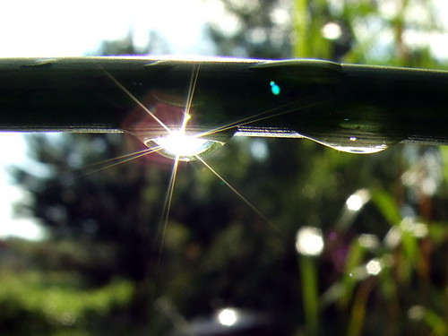 Shine on