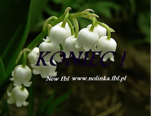 Newwwwwwwwwwww