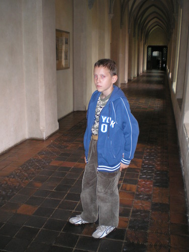 Hen....dlaeko...(Malbork)
