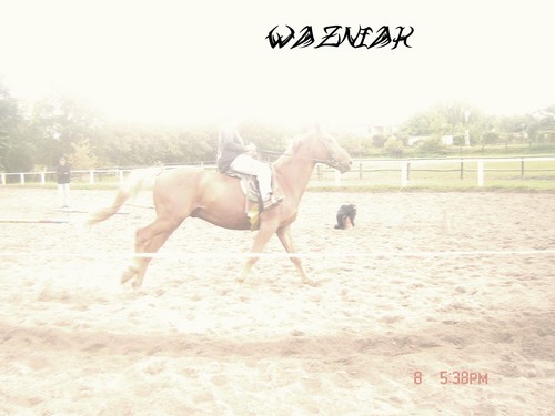 Waniak