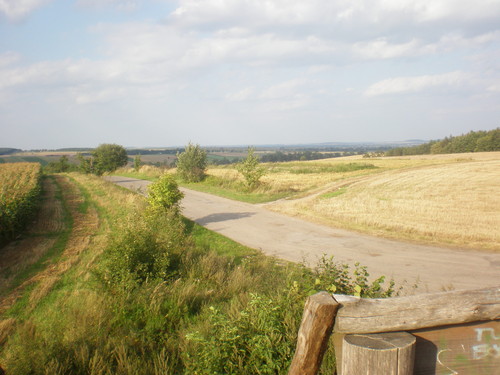 pola