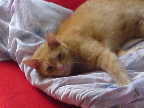 Wpis nika1101