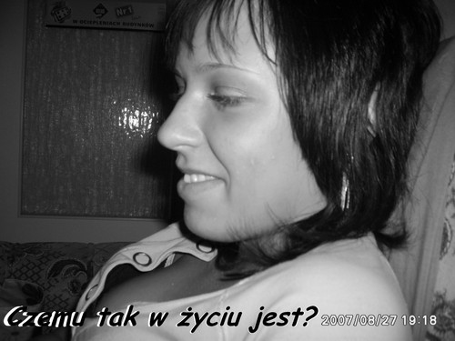 Wpis beeejbe