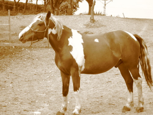Wpis naliba93