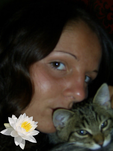 Wpis martka