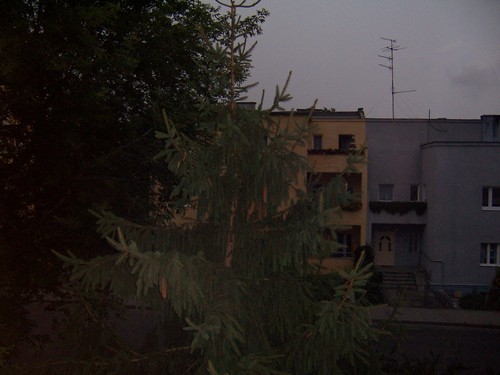 widok