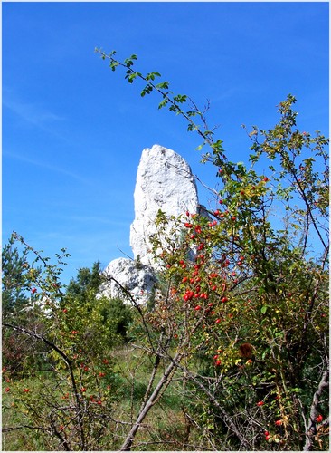 Rzdkowice